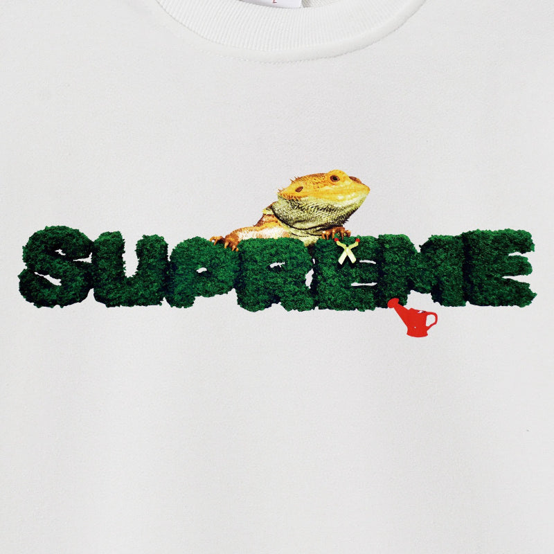 Supreme Sweatshirt